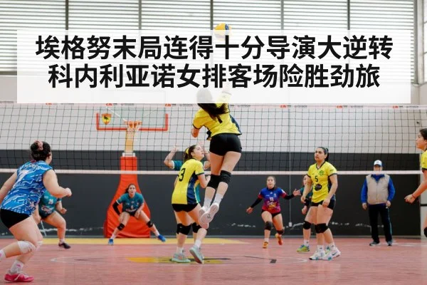 volleyball match arena